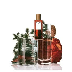 Loewe Parfums De Niche Pour Hommes|Parfums Épicés><noscript><img width=