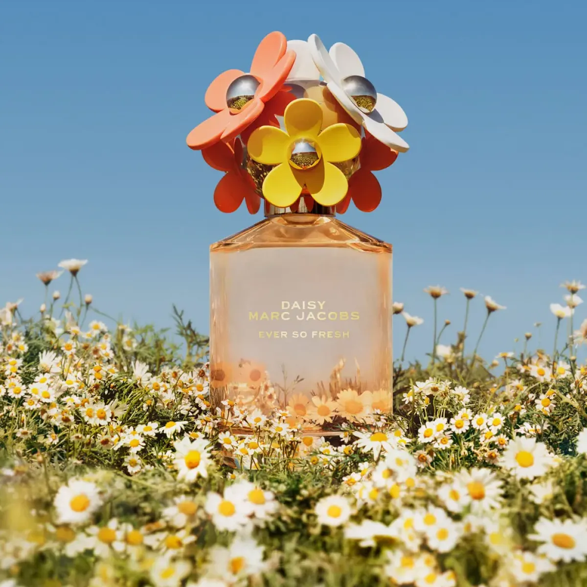 Marc Jacobs Parfums Floraux>Daisy So Ever Fresh Eau de Parfum Spray