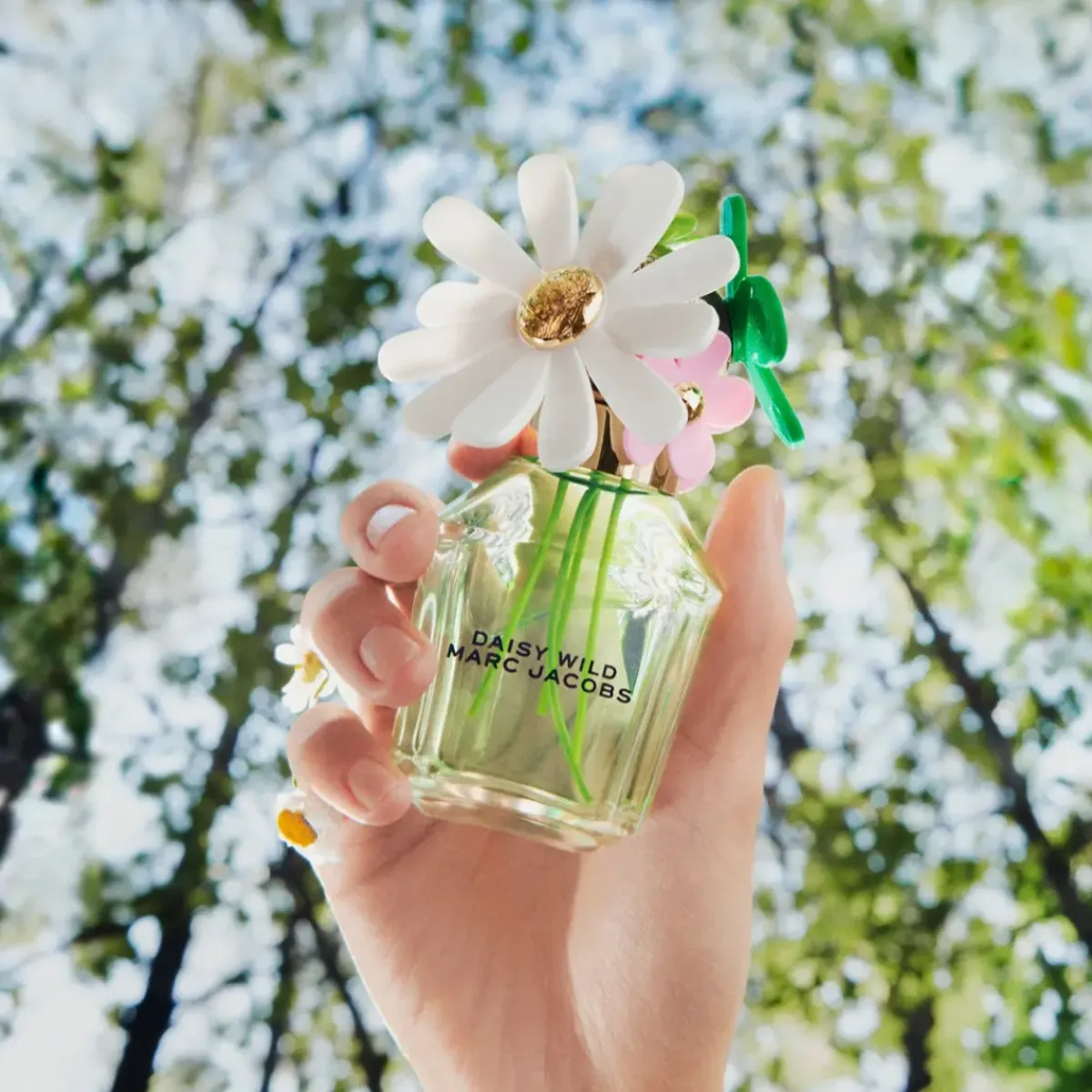 Marc Jacobs Parfums Frais|Parfums Floraux>Daisy Wild Eau de Parfum