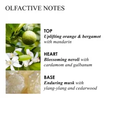 Molton Brown Accessoires Maquillage|Parfums Frais><noscript><img width=