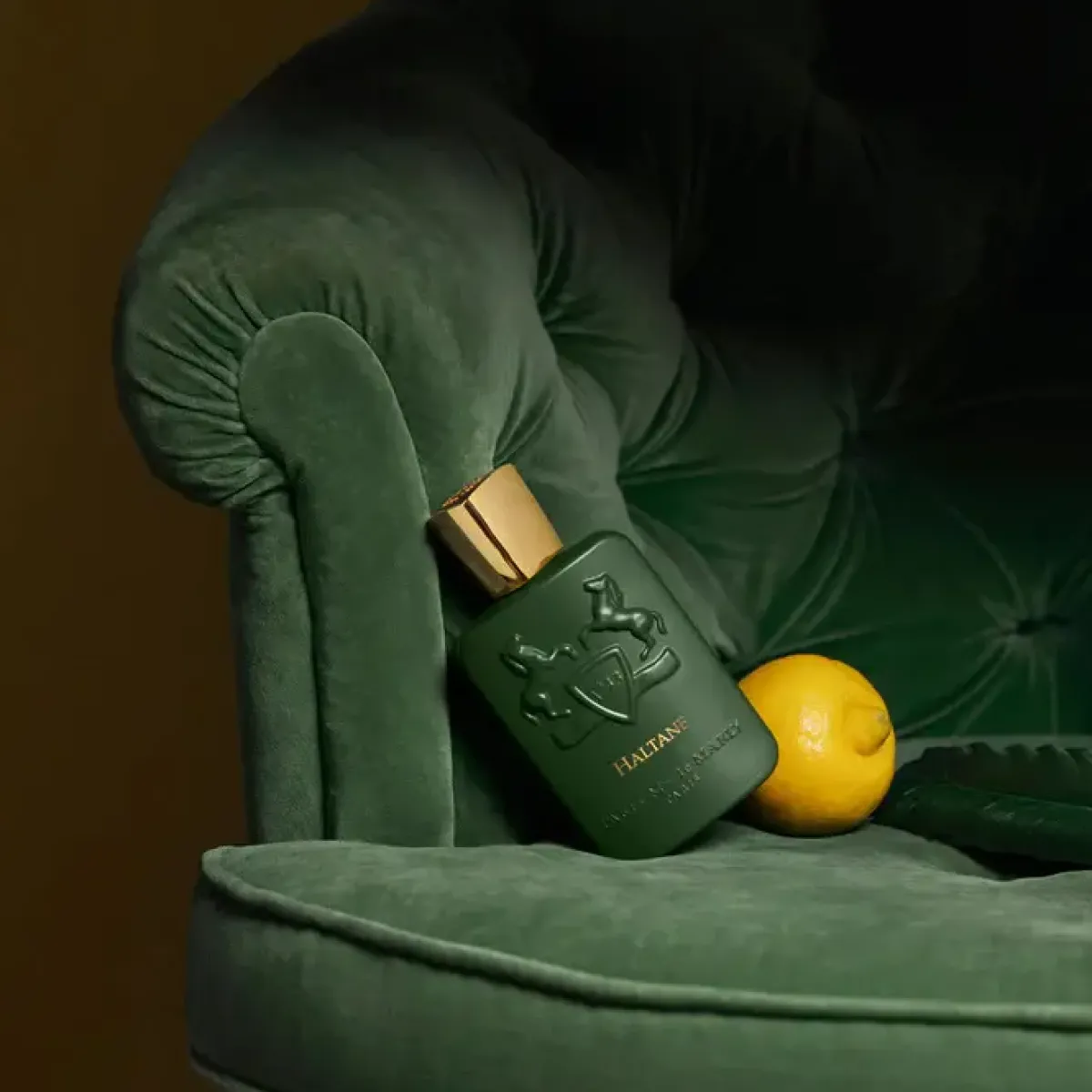 Parfums de Marly Parfums De Niche Pour Hommes>Haltane Eau de Parfum Spray