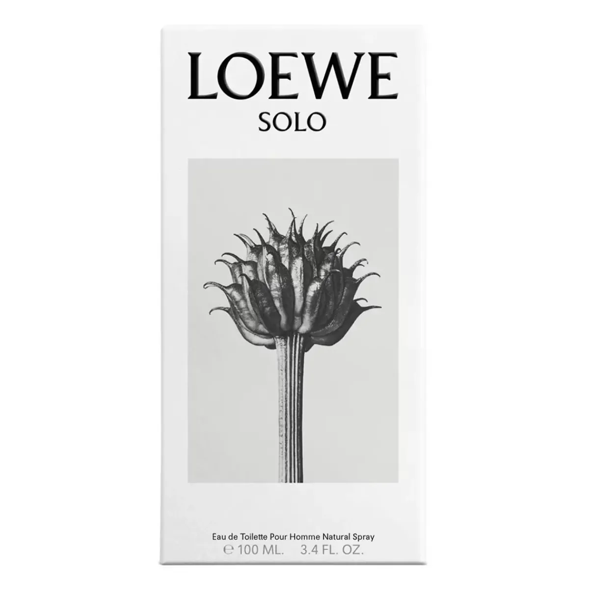 Loewe Parfums De Niche Pour Hommes>Solo Eau de Toilette Spray