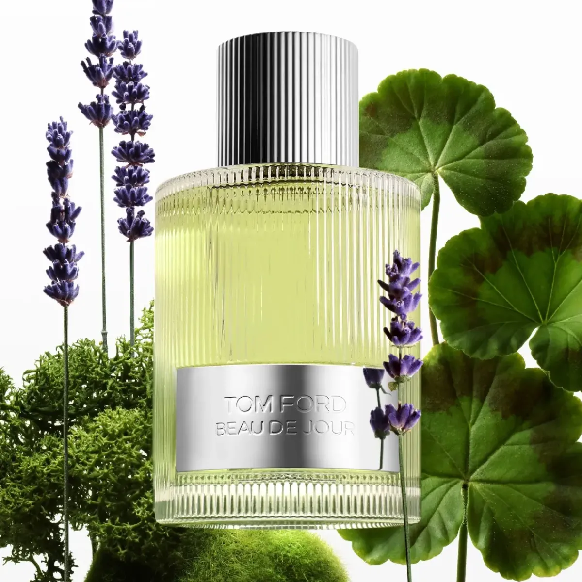 Tom Ford Parfums De Niche Pour Hommes|Parfums Frais>Beau de Jour Eau de Parfum Spray