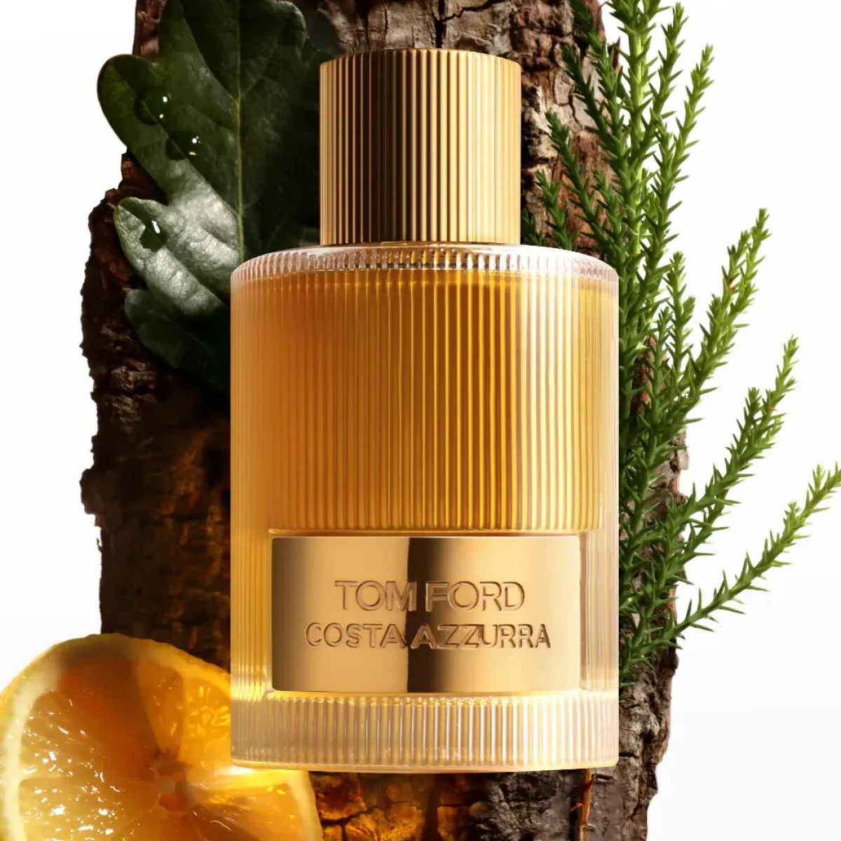 Tom Ford Parfums Frais>Costa Azzurra Eau de Parfum Spray