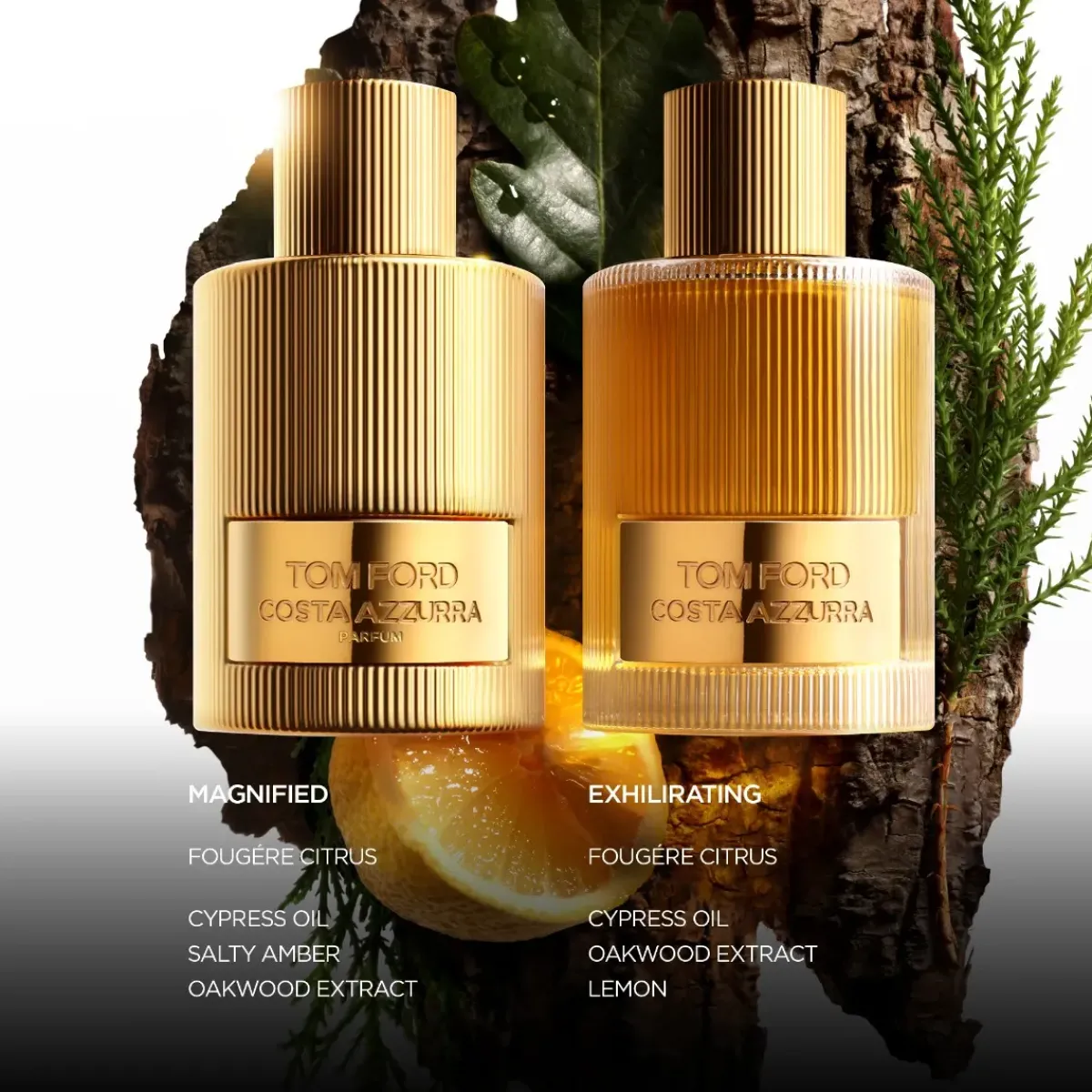 Tom Ford Parfums De Niche Pour Hommes>Costa Azzurra Parfum Spray