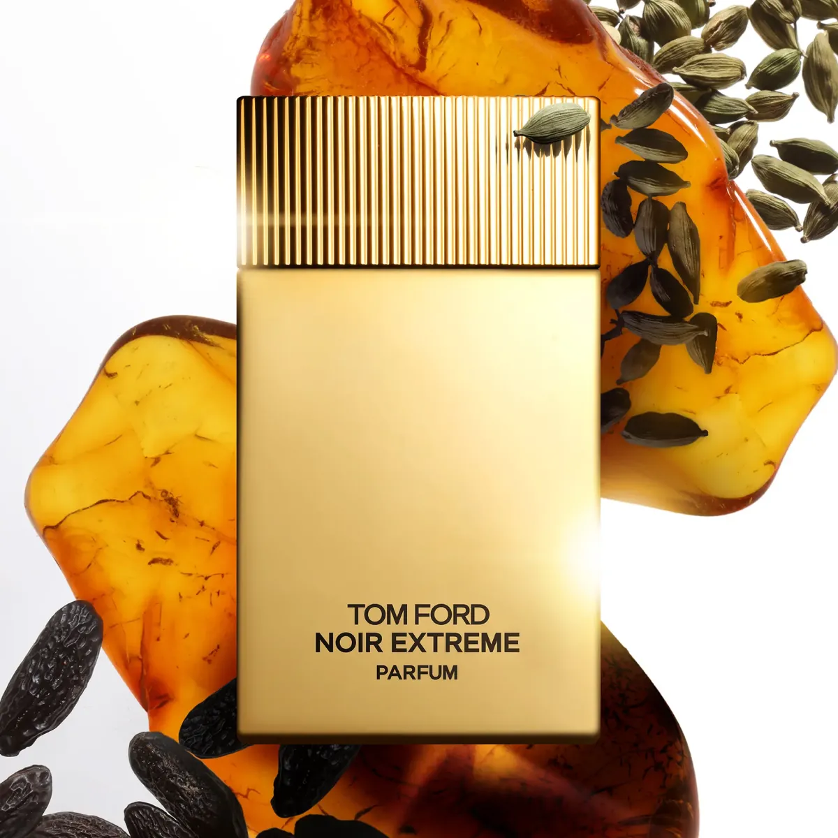 Tom Ford Parfums De Niche Pour Hommes>Noir Extrême Parfum Spray