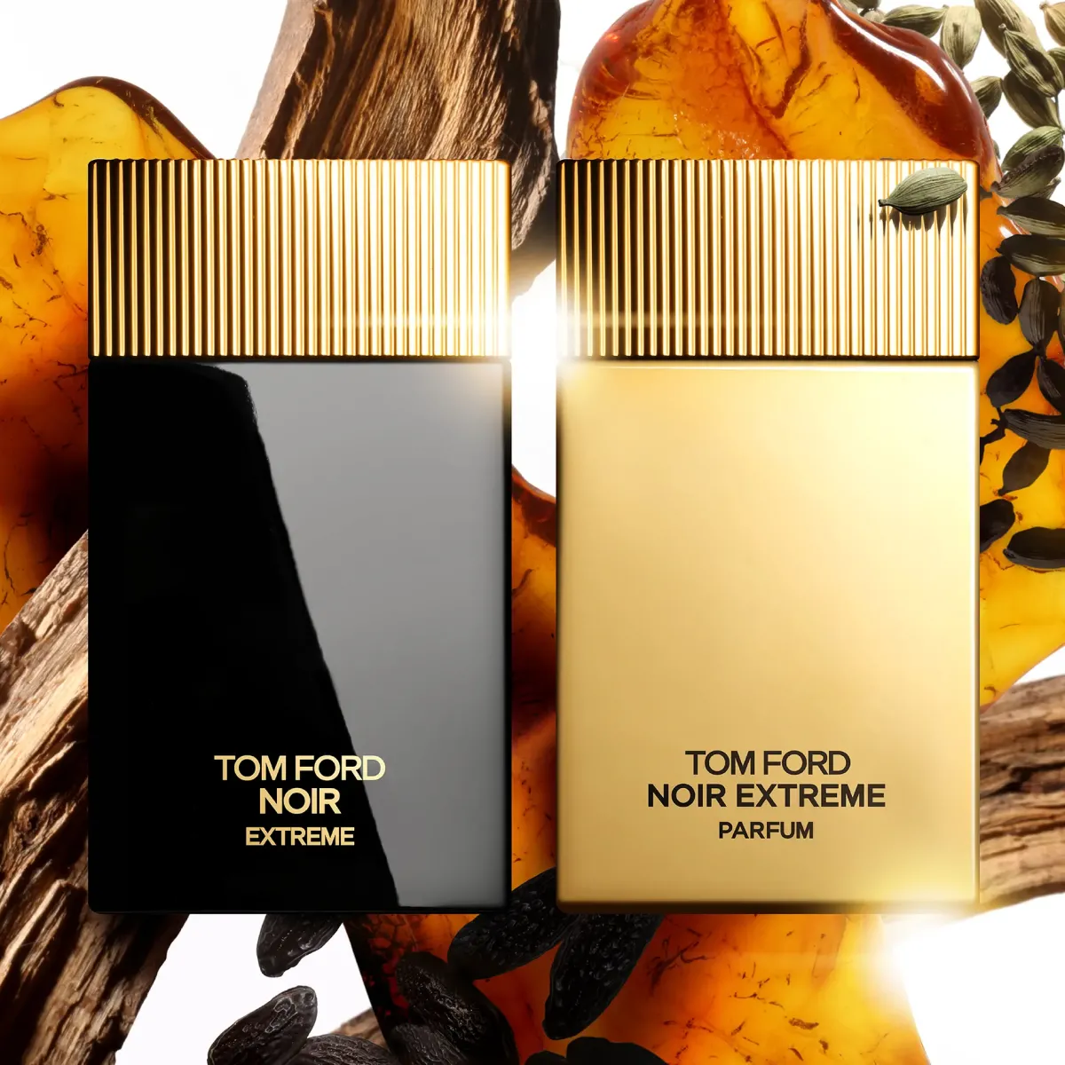 Tom Ford Parfums De Niche Pour Hommes>Noir Extrême Parfum Spray