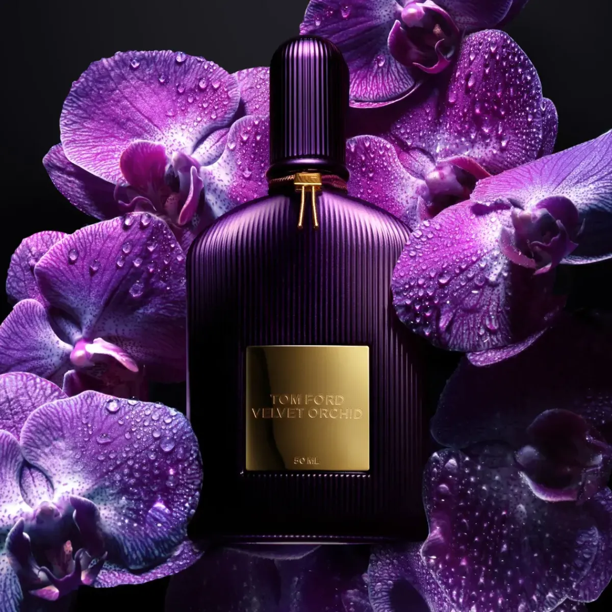 Tom Ford Parfums De Niche Pour Femmes|Parfums Épicés>Velvet Orchid Eau de Parfum Spray