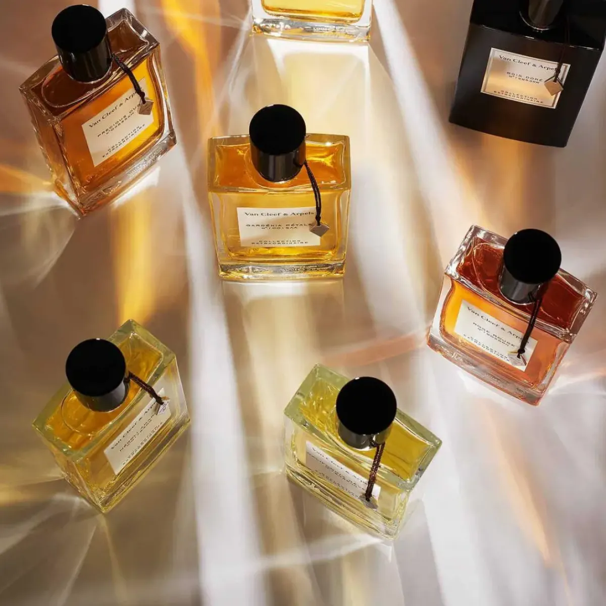 Van Cleef & Arpels Parfums De Niche Pour Femmes>Collection Extraordinaire Orchidee Vanille Eau de Parfum Spray