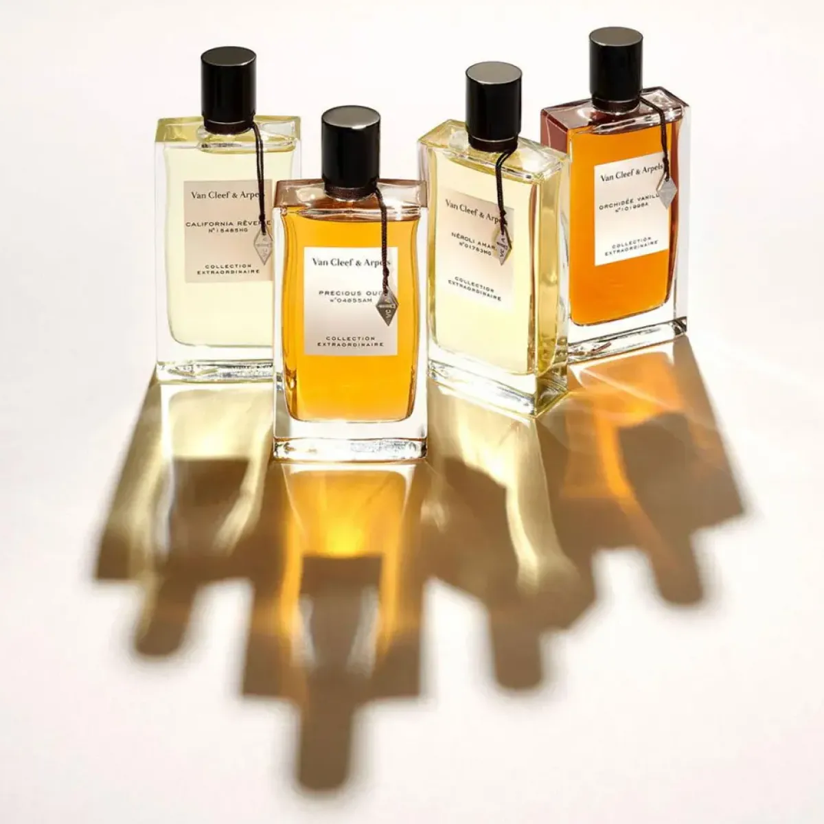 Van Cleef & Arpels Parfums De Niche Pour Femmes|Parfums Épicés>Collection Extraordinaire Precious Oud Eau de Parfum Spray