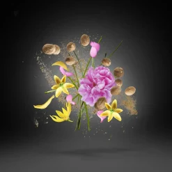 Xerjoff Parfums Épicés|Parfums Floraux><noscript><img width=