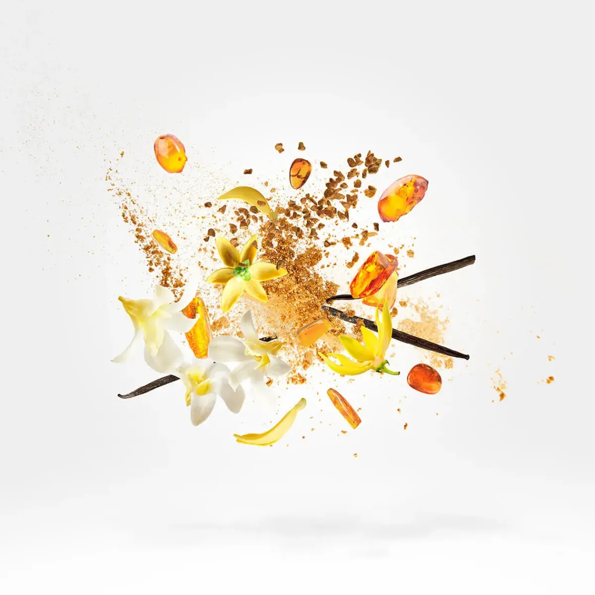 Xerjoff Parfums Épicés|Parfums Floraux>Shooting Stars Amber & Musk Collection