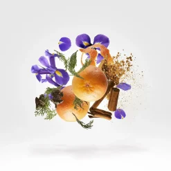 Xerjoff Parfums Épicés|Parfums Frais><noscript><img width=