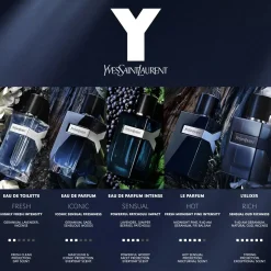 Yves Saint Laurent Parfums Frais><noscript><img width=